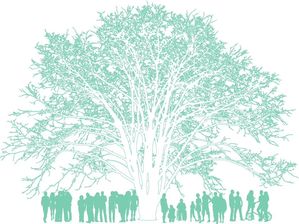 arbre-social